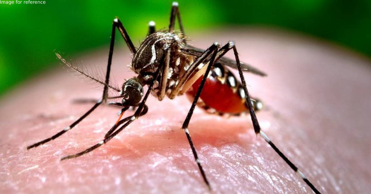 Dengue cases breach 500 mark in Uttarakhand